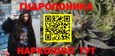 гашик Пушкино