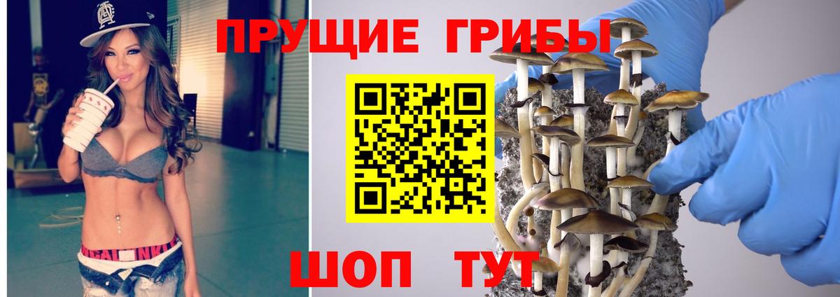 Псилоцибиновые грибы Magic Shrooms Удомля